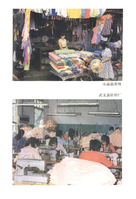 《武义柳城镇志》.pdf电子版_浙江省志插图5