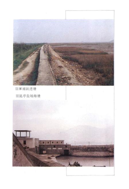 《镇海水利志》.pdf电子版_浙江省志插图4