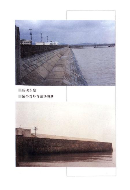 《镇海水利志》.pdf电子版_浙江省志插图5