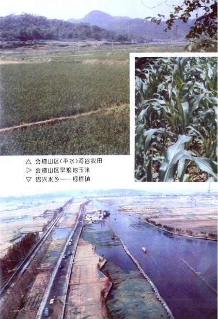 《绍兴县农业志》.pdf电子版_浙江省志插图5