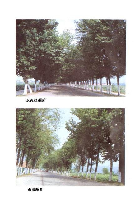 《浦江县交通志》.pdf电子版_浙江省志插图5