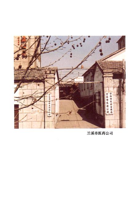 《兰溪医药志》.pdf电子版_浙江省志插图2