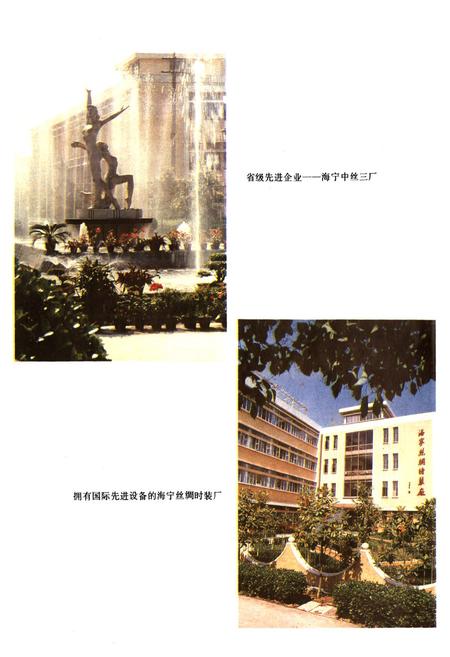 《海宁市丝绸工业志》.pdf电子版_浙江省志插图5