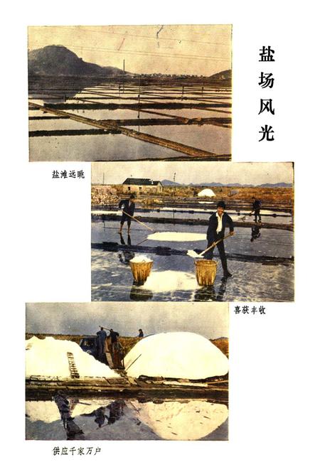 《宁海盐政志1763-1986》.pdf电子版_浙江省志插图5