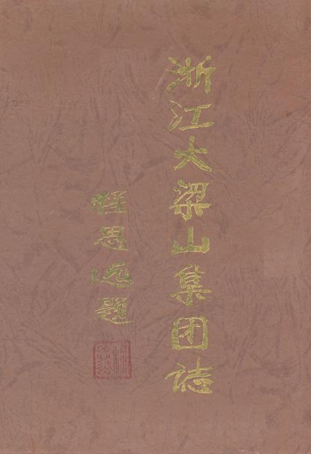 《浙江大梁山集团志》.pdf电子版_浙江省志插图