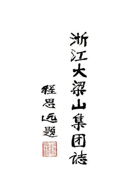 《浙江大梁山集团志》.pdf电子版_浙江省志插图2