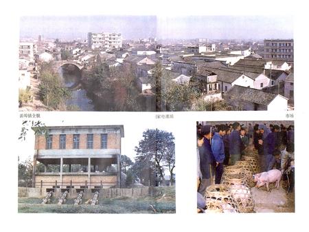 《兰溪游埠镇志》.pdf电子版_浙江省志插图5 《兰溪游埠镇志》.pdf电子版_浙江省志插图5