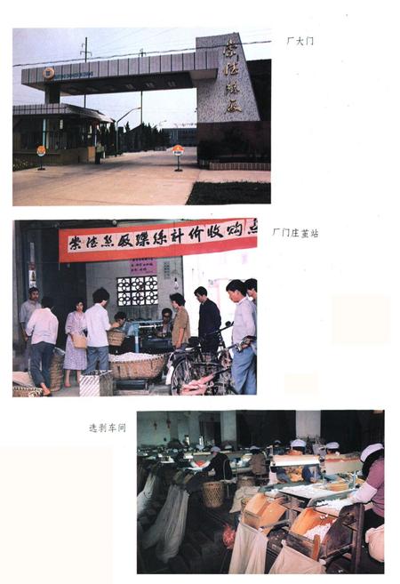 《崇德丝厂志》.pdf电子版_浙江省志插图3