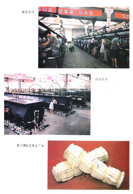 《崇德丝厂志》.pdf电子版_浙江省志插图4