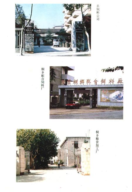 《桐乡市粮食志》.pdf电子版_浙江省志插图5 《桐乡市粮食志》.pdf电子版_浙江省志插图5