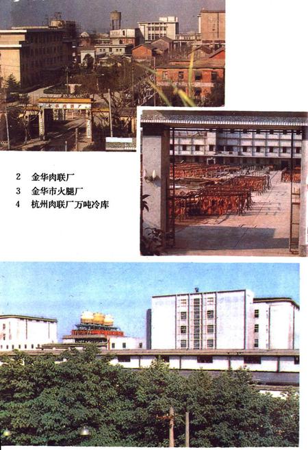 《浙江肉禽蛋商业志》.pdf电子版_浙江省志插图4