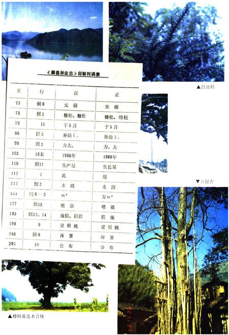 《忂县林业志》.pdf电子版_浙江省志插图3