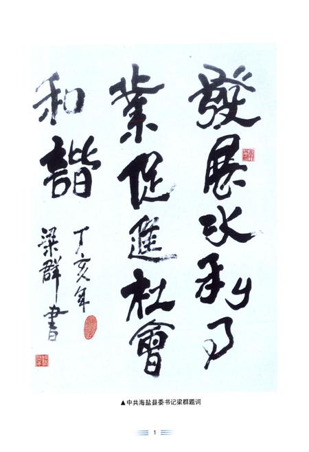 《海盐县水利志》.pdf电子版_浙江省志插图2