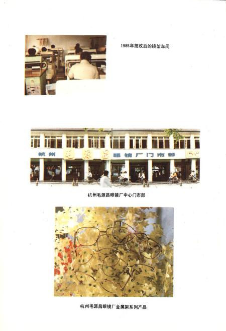 《杭州毛源昌眼镜厂厂志》.pdf电子版_浙江省志插图5