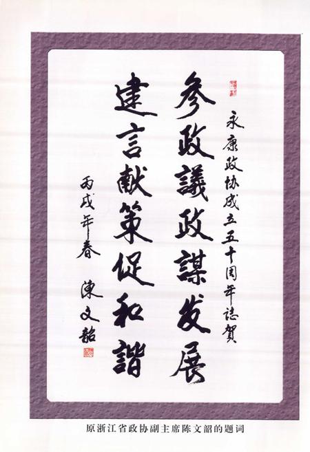 《永康市政协志(续编1991-2006)》.pdf电子版_浙江省志预览图5