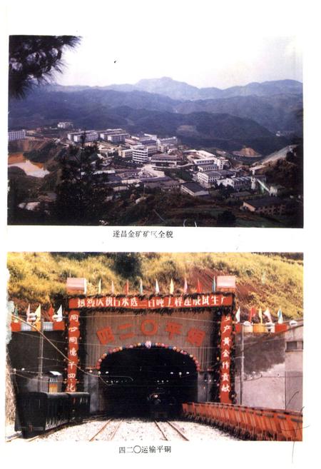 《浙江省遂昌金矿志》.pdf电子版_浙江省志插图3