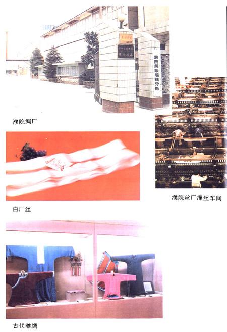 《濮院镇志》.pdf电子版_浙江省志插图4