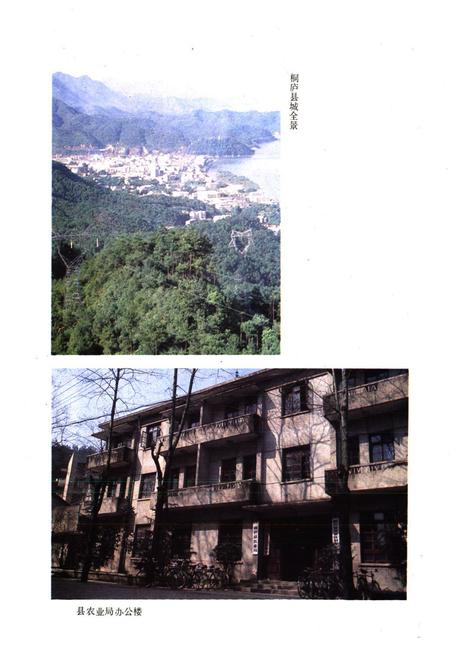 《《桐庐县农业志》》.pdf电子版_浙江省志插图4 《《桐庐县农业志》》.pdf电子版_浙江省志插图4