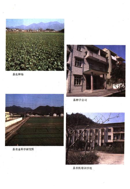 《《桐庐县农业志》》.pdf电子版_浙江省志插图5 《《桐庐县农业志》》.pdf电子版_浙江省志插图5