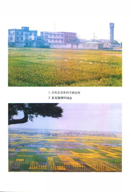 《余杭县农业志》.pdf电子版_浙江省志插图1
