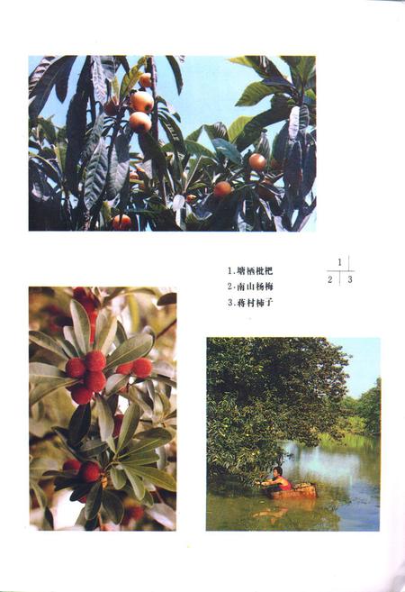 《余杭县农业志》.pdf电子版_浙江省志插图3