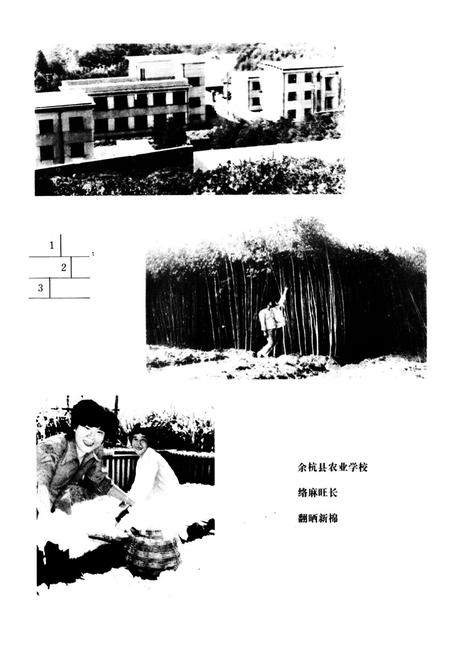 《余杭县农业志》.pdf电子版_浙江省志插图5