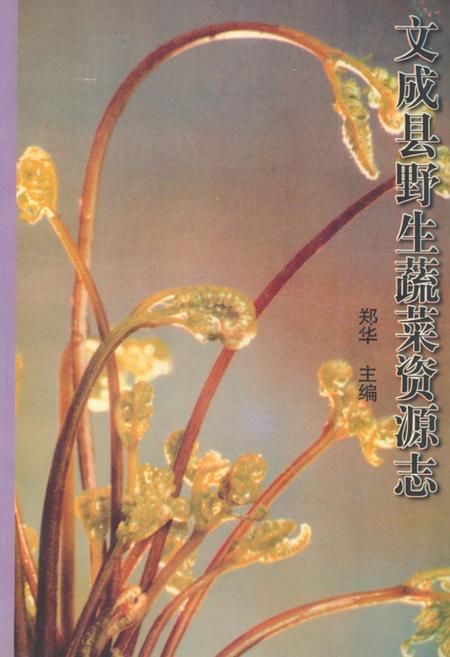 《文成县野生蔬菜资源志》.pdf电子版_浙江省志插图