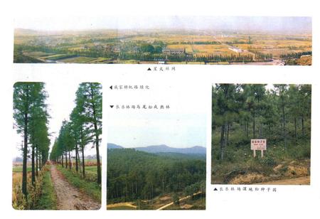 《余杭县林业志1910-1987年》.pdf电子版_浙江省志插图2 《余杭县林业志1910-1987年》.pdf电子版_浙江省志插图2