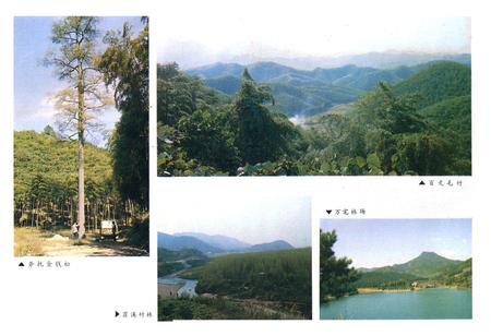 《余杭县林业志1910-1987年》.pdf电子版_浙江省志插图3 《余杭县林业志1910-1987年》.pdf电子版_浙江省志插图3