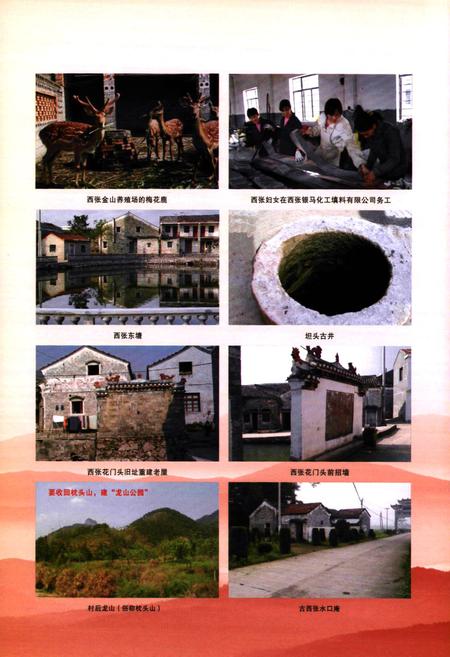 《西张村志》.pdf电子版_浙江省志插图5