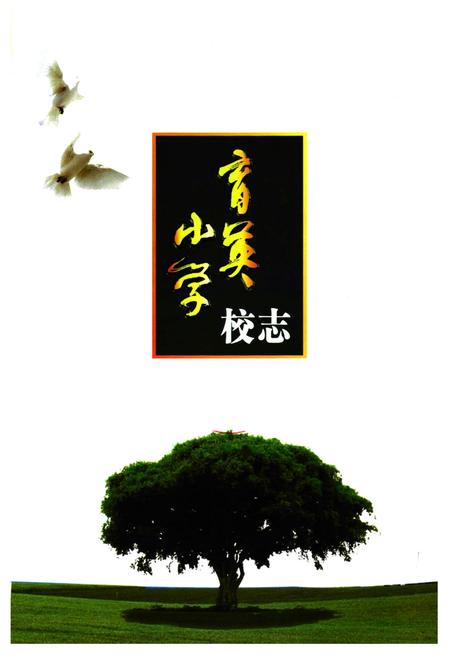 《嵊州市育英小学校志(1998-2008)》.pdf电子版_浙江省志插图1