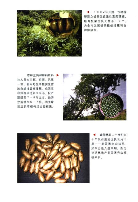 《建德市林业科技志》.pdf电子版_浙江省志插图5