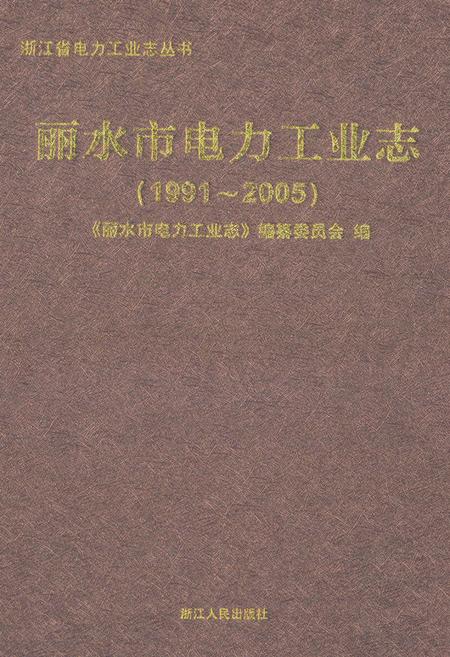 《丽水市电力工业志(1991~2005)》.pdf电子版_浙江省志插图