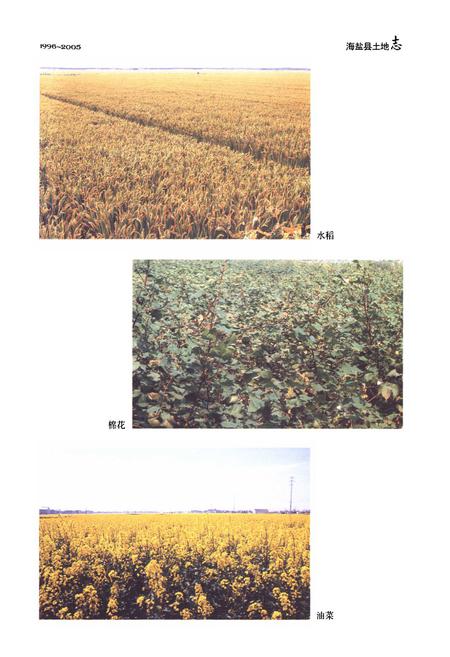 《《海盐县土地志(1996~2005)》》.pdf电子版_浙江省志插图4