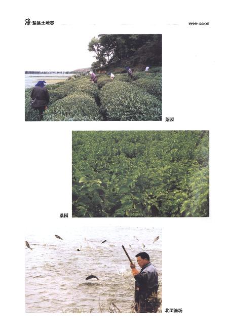 《《海盐县土地志(1996~2005)》》.pdf电子版_浙江省志插图5