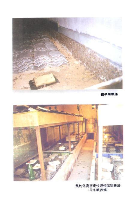 《浙江绍兴东亚全蝎开发中心志》.pdf电子版_浙江省志插图3