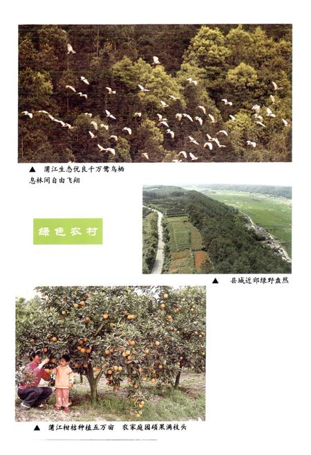 《浦江县国土志》.pdf电子版_浙江省志插图5