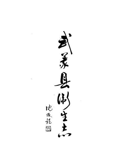 《武义县卫生志》.pdf电子版_浙江省志插图1
