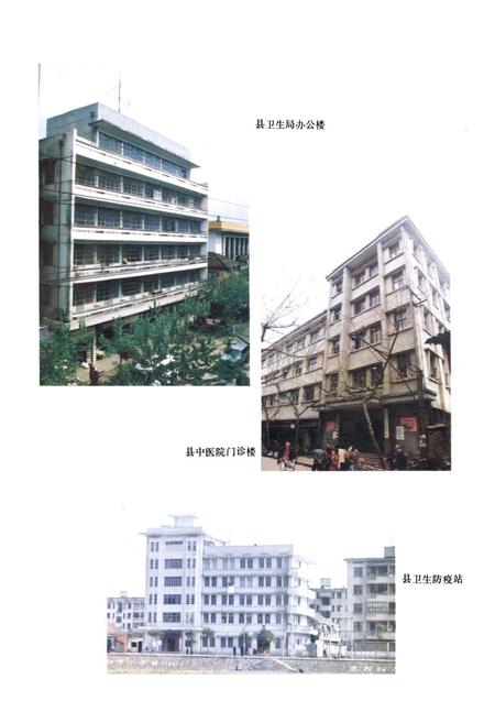 《武义县卫生志》.pdf电子版_浙江省志插图4