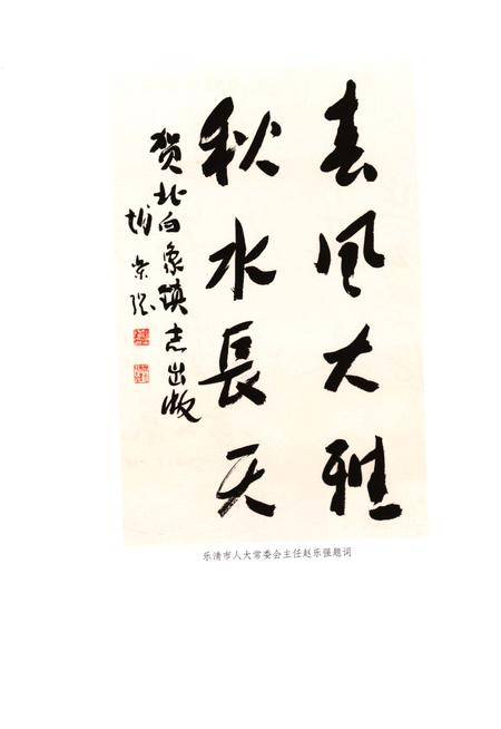 《北白象镇志》.pdf电子版_浙江省志插图3