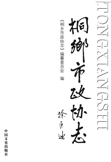 《桐乡市政协志》.pdf电子版_浙江省志插图1