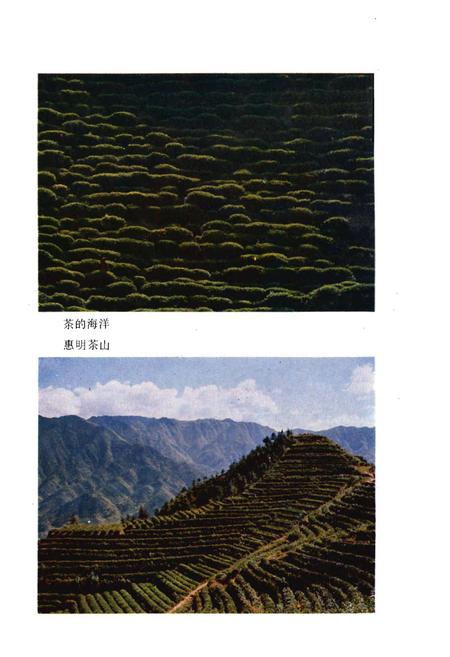 《景宁畲族自治县概况》.pdf电子版_浙江省志插图4