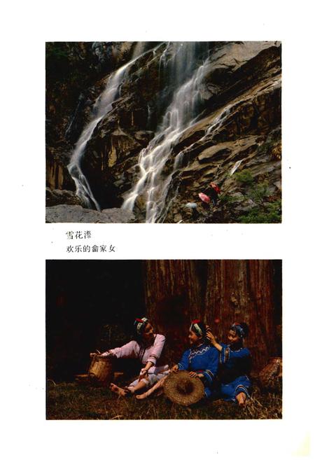 《景宁畲族自治县概况》.pdf电子版_浙江省志插图5