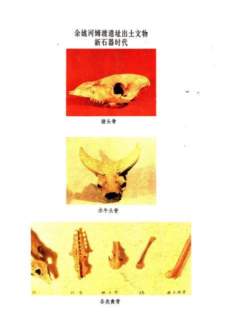 《浙江省畜禽品种志》.pdf电子版_浙江省志插图4