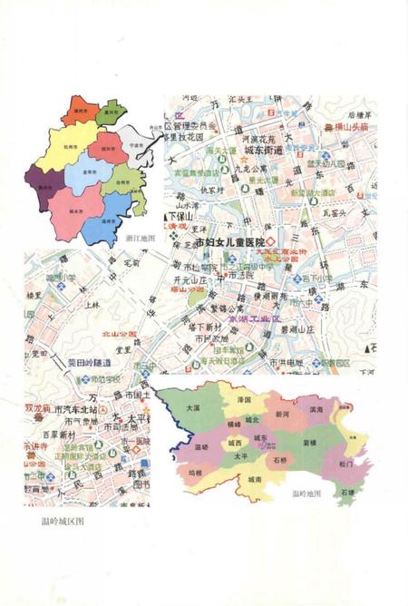 《温岭市妇幼保健院志》.pdf电子版_浙江省志插图5