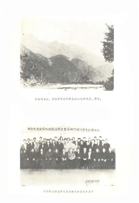 《临海市卫生志 公元240-1985》.pdf电子版_浙江省志插图4