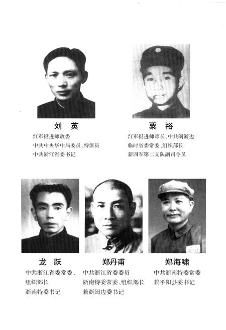 《浙南人民抗日斗争史》.pdf电子版_浙江省志插图5