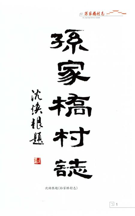 《孙家桥村志》.pdf电子版_浙江省志插图3