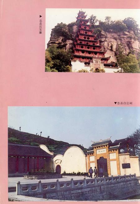 《忠县志》.pdf电子版_重庆市志插图4