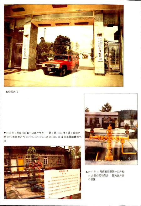 《四川省石油管理局川东开发公司志》.pdf电子版_重庆市志插图4